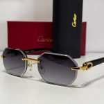 Elegant Cartier sunglasses with gold accents and protective lenses.