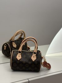 Louis Vuitton Speedy Mono handbag on display with reflection.