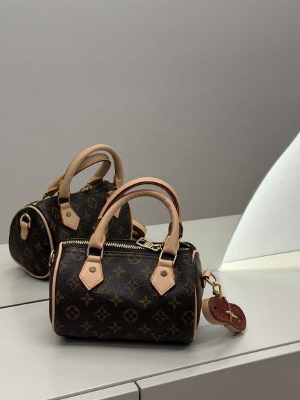 Louis Vuitton Speedy Mono handbag on display with reflection.