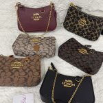 Çanta femrash Coach New York handbags in various colors on display.