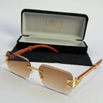 Men's sunglasses with gold accents, stylish case included.