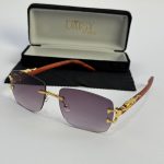 Men's sunglasses with gold accents and case, stylish protection.