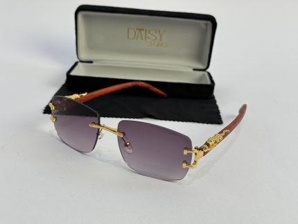 Men's sunglasses with gold accents and case, stylish protection.