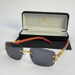 Men's sunglasses with gold accents and case, Syze Dielli për Meshkuj.