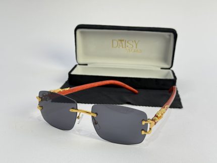 Men's sunglasses with gold accents and case, Syze Dielli për Meshkuj.