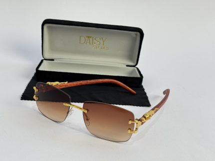 Men's sunglasses with gold accents and case, stylish protection.