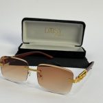 Men's sunglasses with gold accents and case, stylish protection.