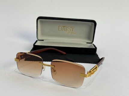 Men's sunglasses with gold accents and case, stylish protection.