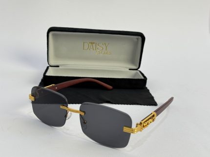 Men's sunglasses with gold accents in elegant case.