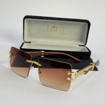 Men's sunglasses with gold accents and protective case.