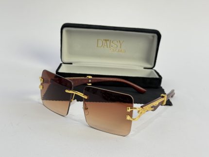 Men's sunglasses with gold accents and protective case.