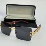 Men's sunglasses with gold accents and case, stylish protection.