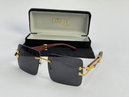 Men's sunglasses with gold accents and case, stylish protection.
