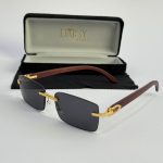 Men's sunglasses with gold accents and case, stylish protection.