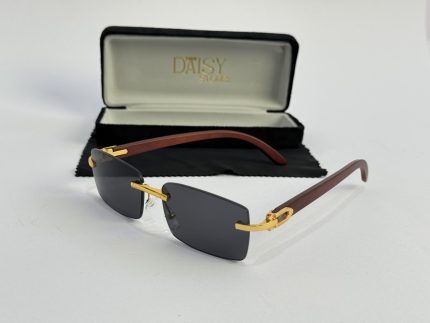 Men's sunglasses with gold accents and case, stylish protection.