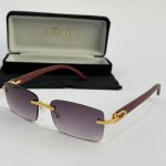 Men's sunglasses with gold accents and case for style and protection.