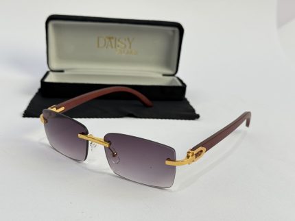 Men's sunglasses with gold accents and case for style and protection.