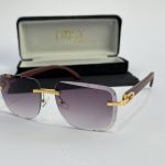 Men's sunglasses with gold accents and protective case.