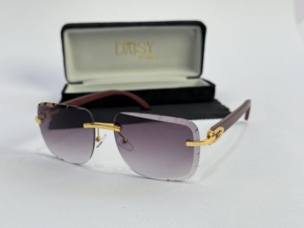 Men's sunglasses with gold accents and protective case.