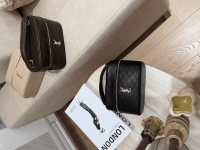 Elegant YSL vanity case for women, quilted design, luxury fashion accessory.