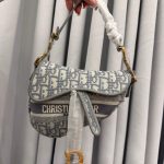Dior Saddle Mini Oblique women's handbag with iconic monogram design.